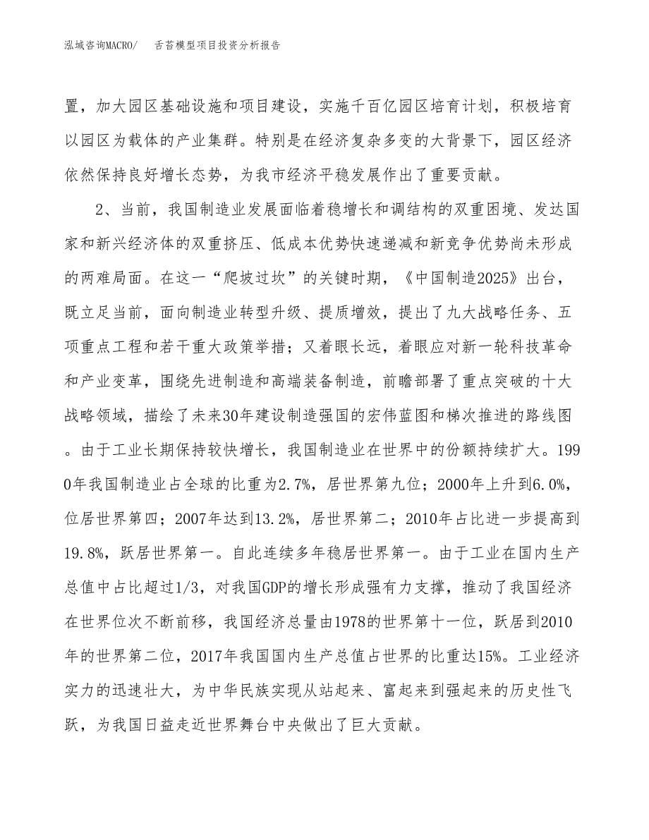 舌苔模型项目投资分析报告（投融资报告）.docx_第5页