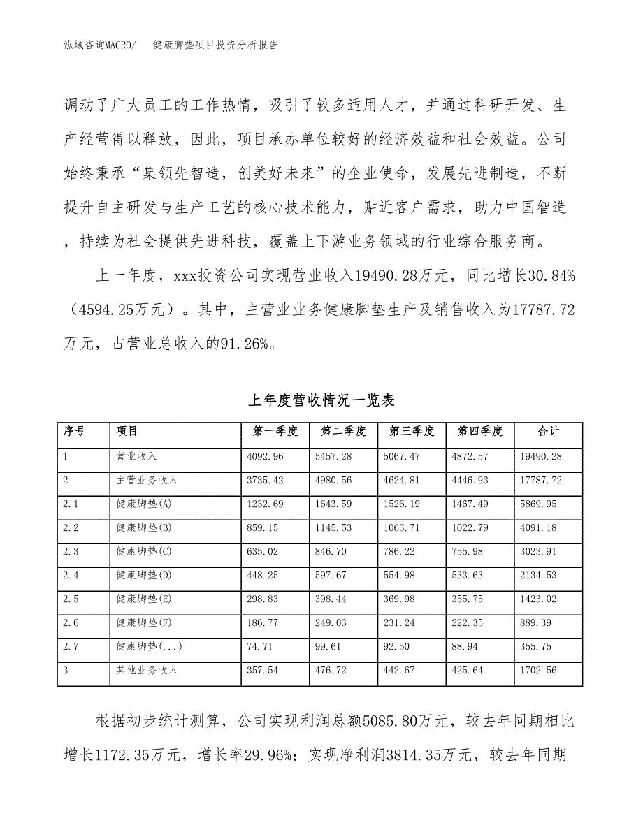 健康脚垫项目投资分析报告（投融资报告）.docx_第2页