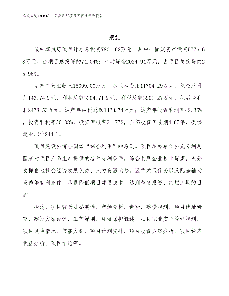 汞蒸汽灯项目可行性研究报告标准模板.docx_第2页