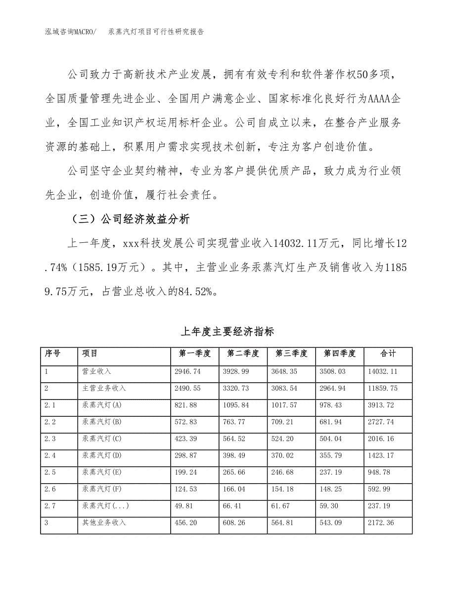 汞蒸汽灯项目可行性研究报告标准模板.docx_第5页