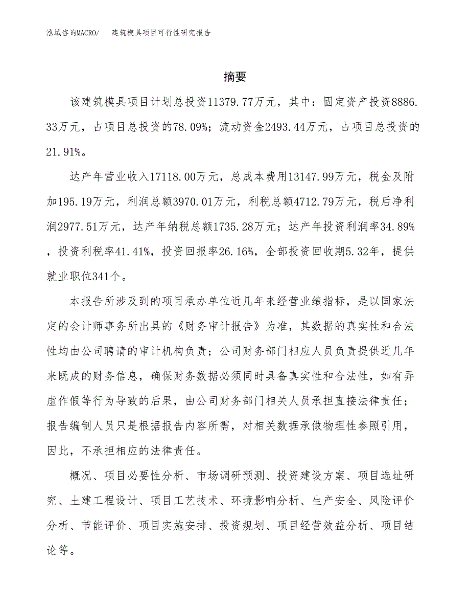 建筑模具项目可行性研究报告标准模板.docx_第2页