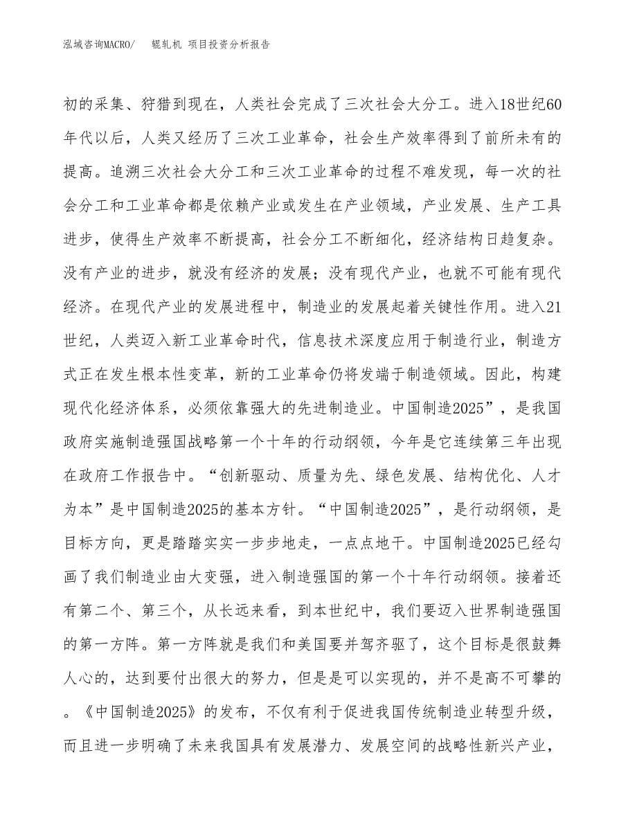 辊轧机 项目投资分析报告（投融资报告）.docx_第5页