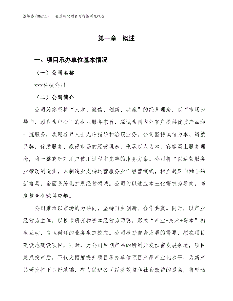 金属钝化项目可行性研究报告标准模板.docx_第4页