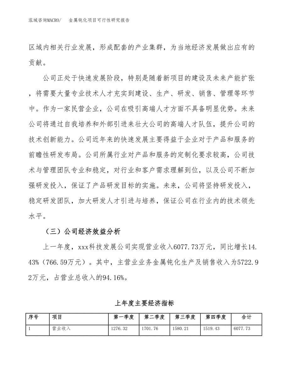 金属钝化项目可行性研究报告标准模板.docx_第5页