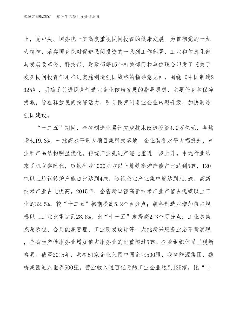 聚异丁烯项目投资计划书(融资报告).docx_第5页