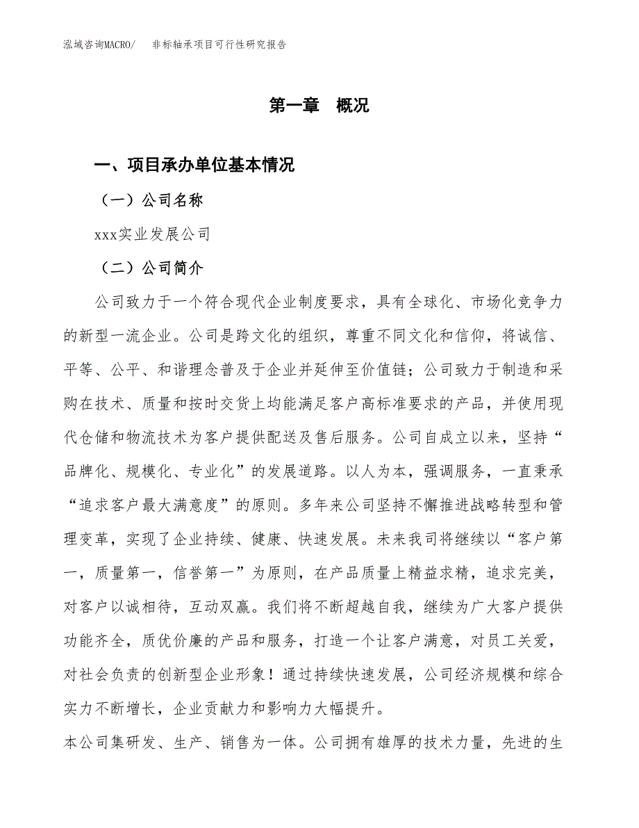 非标轴承项目可行性研究报告标准模板.docx_第4页