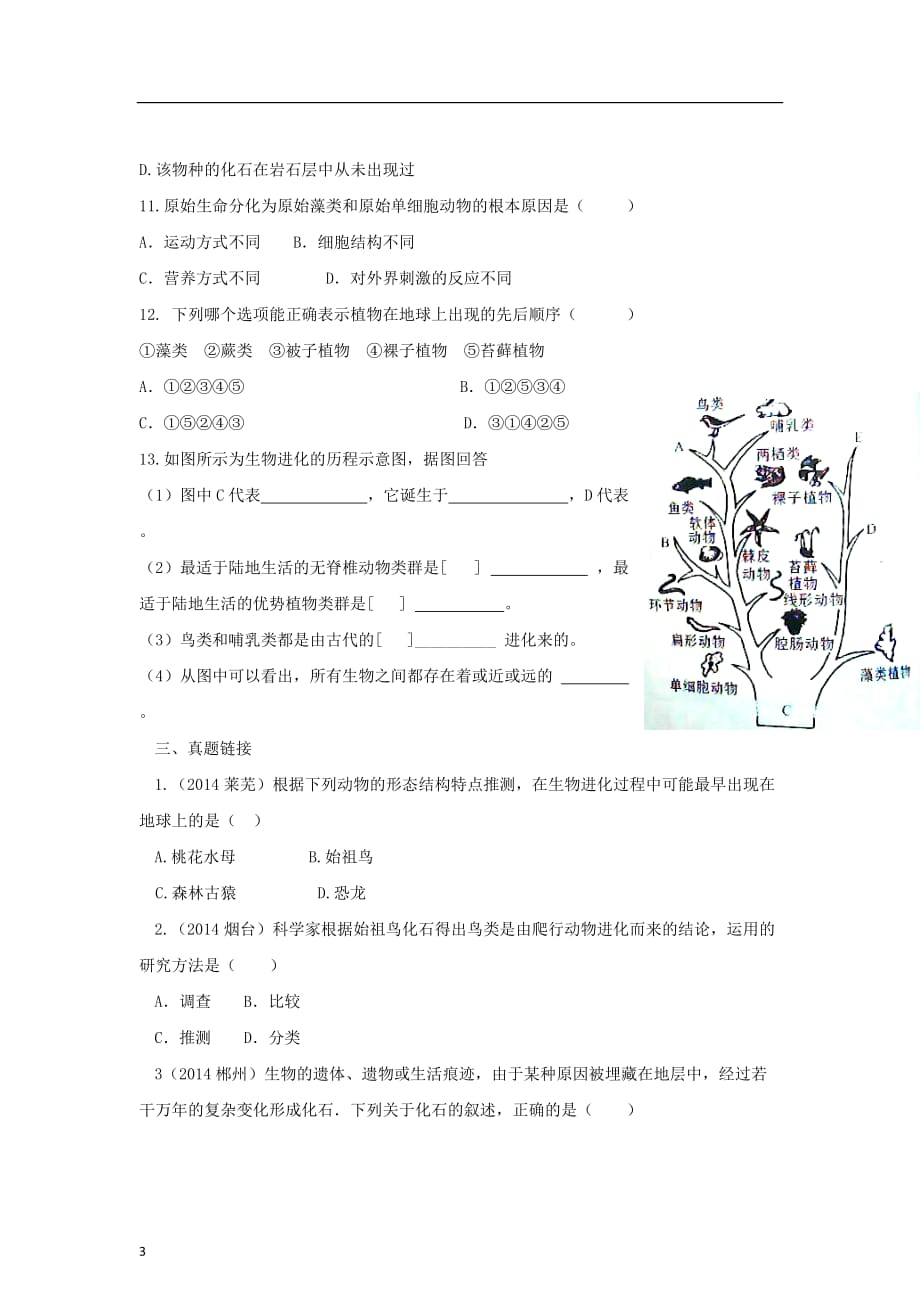 八年级生物下册7.3.2 生物进化的历程练习 （新版）新人教版_第3页