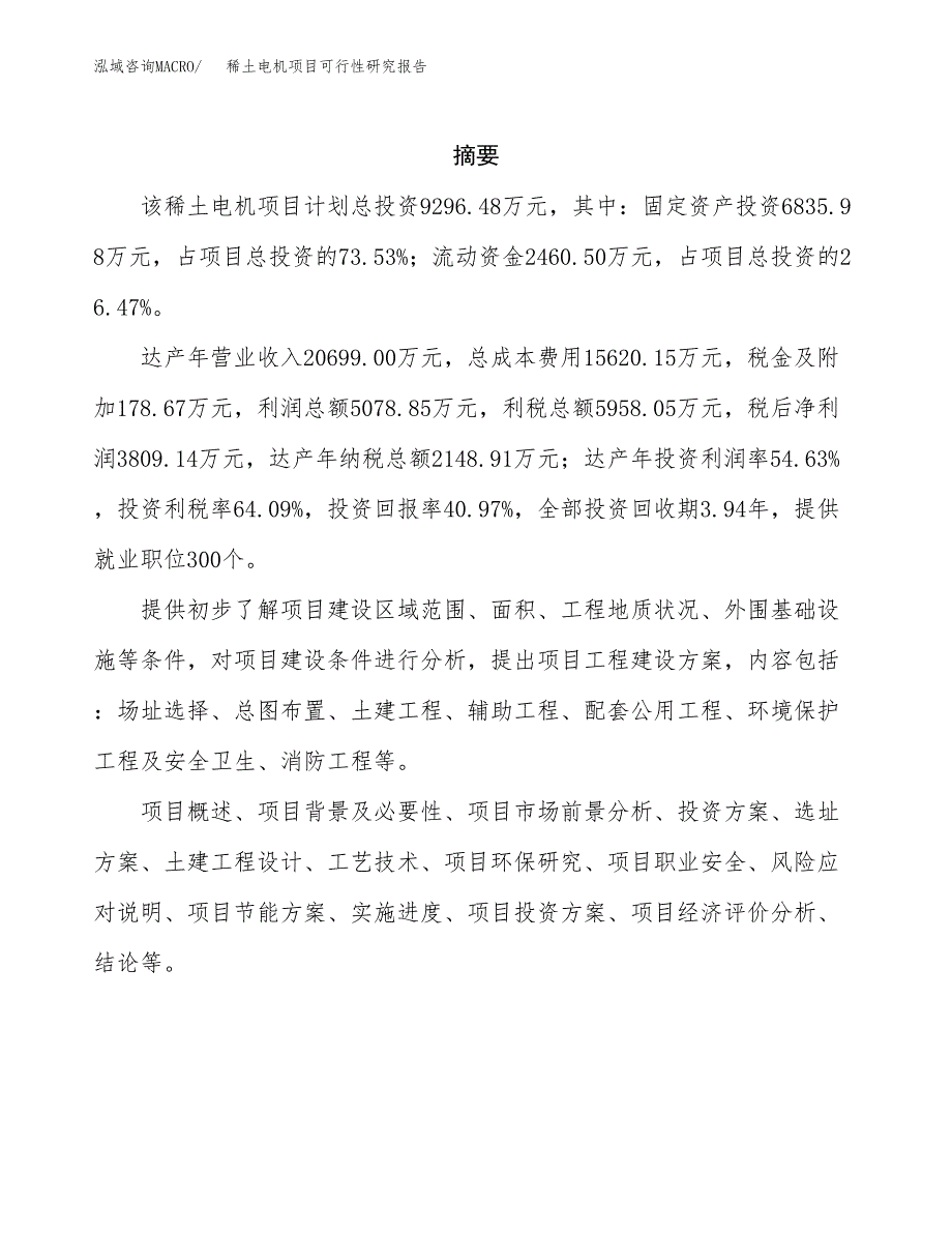 稀土电机项目可行性研究报告标准模板.docx_第2页