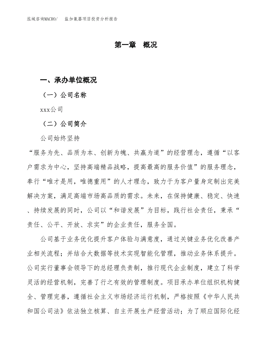 盐加氯器项目投资分析报告（投融资报告）.docx_第1页