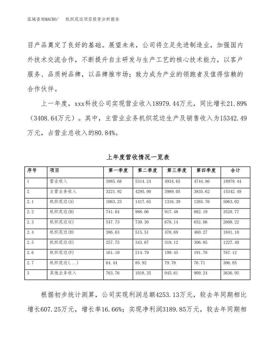 机织花边项目投资分析报告（投融资报告）.docx_第2页