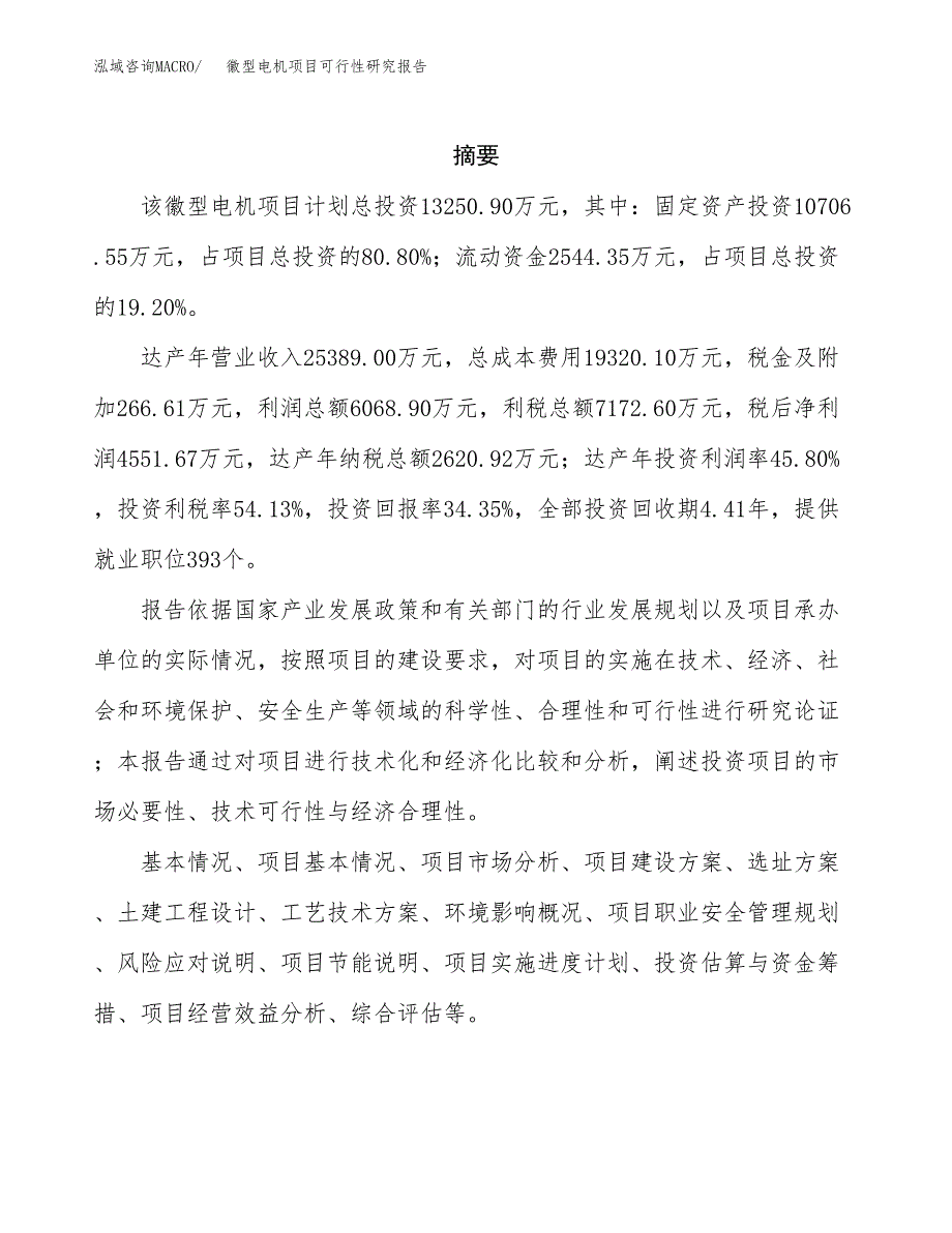 徽型电机项目可行性研究报告标准模板.docx_第2页