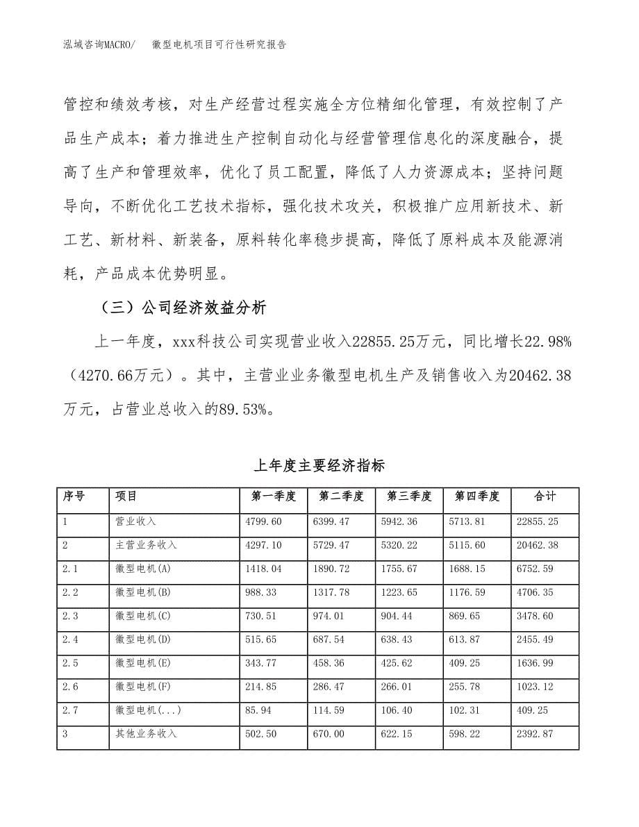 徽型电机项目可行性研究报告标准模板.docx_第5页