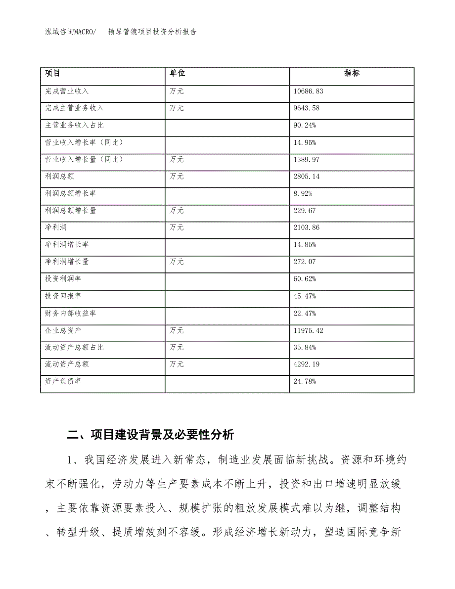 输尿管镜项目投资分析报告（投融资报告）.docx_第3页