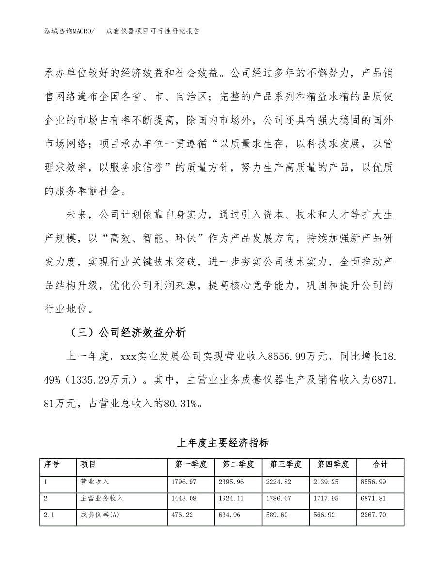 成套仪器项目可行性研究报告标准模板.docx_第5页