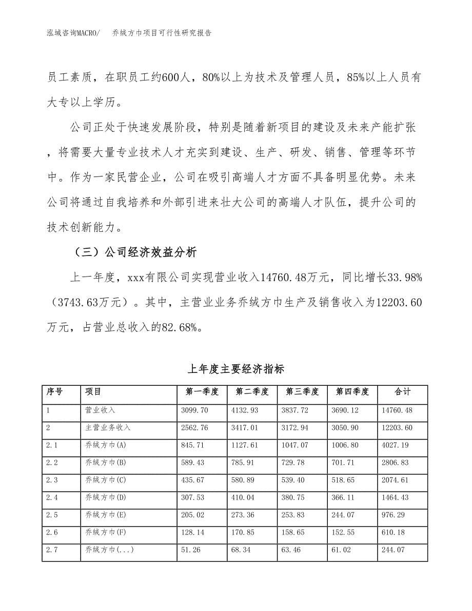 乔绒方巾项目可行性研究报告标准模板.docx_第5页