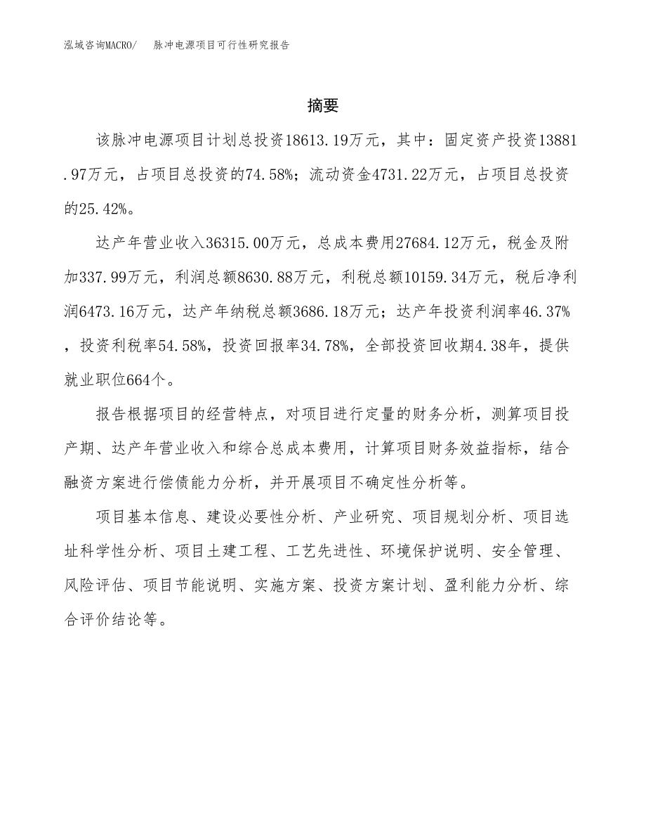 脉冲电源项目可行性研究报告标准模板.docx_第2页