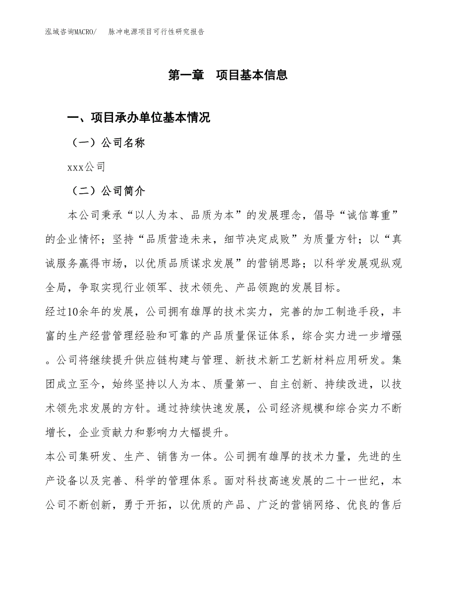 脉冲电源项目可行性研究报告标准模板.docx_第4页