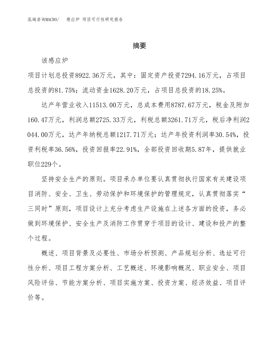 感应炉 项目可行性研究报告标准模板.docx_第2页