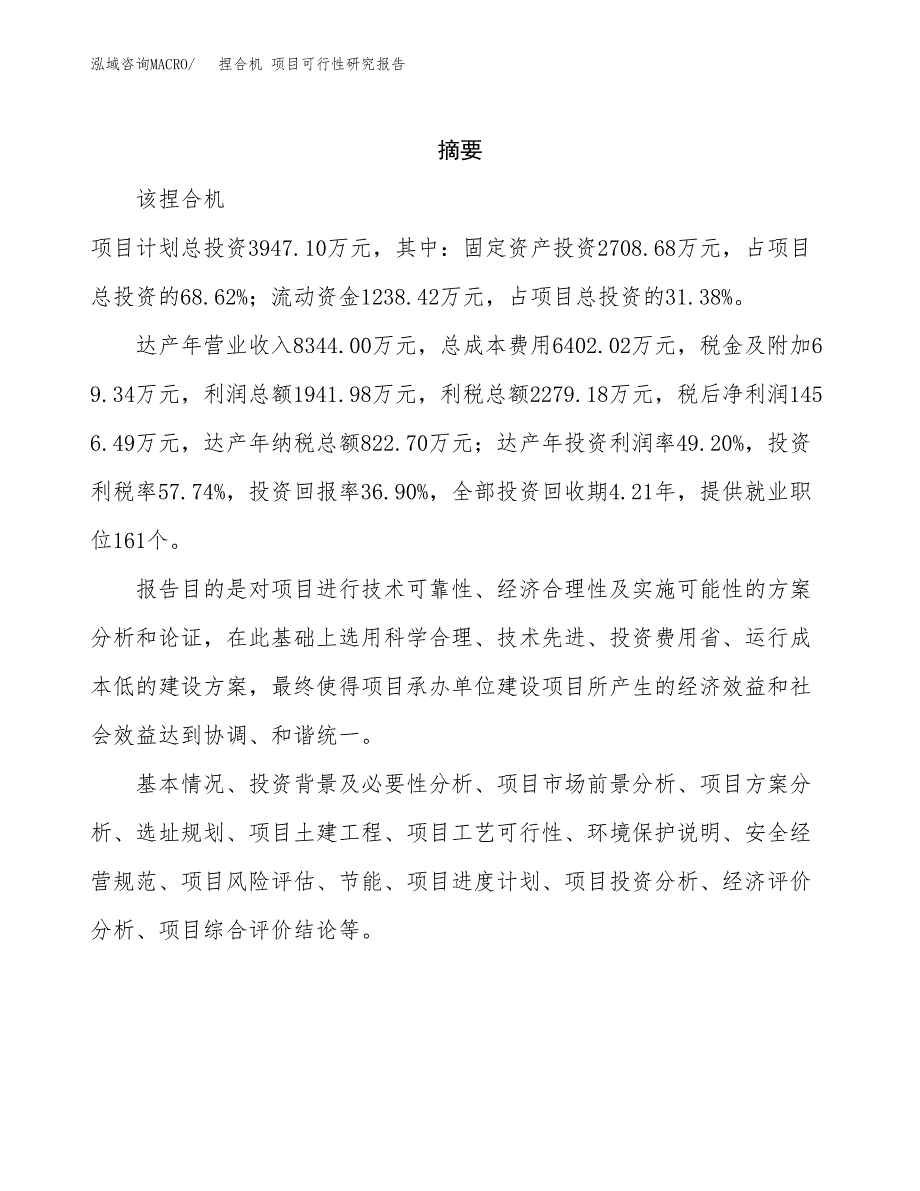 捏合机 项目可行性研究报告标准模板.docx_第2页