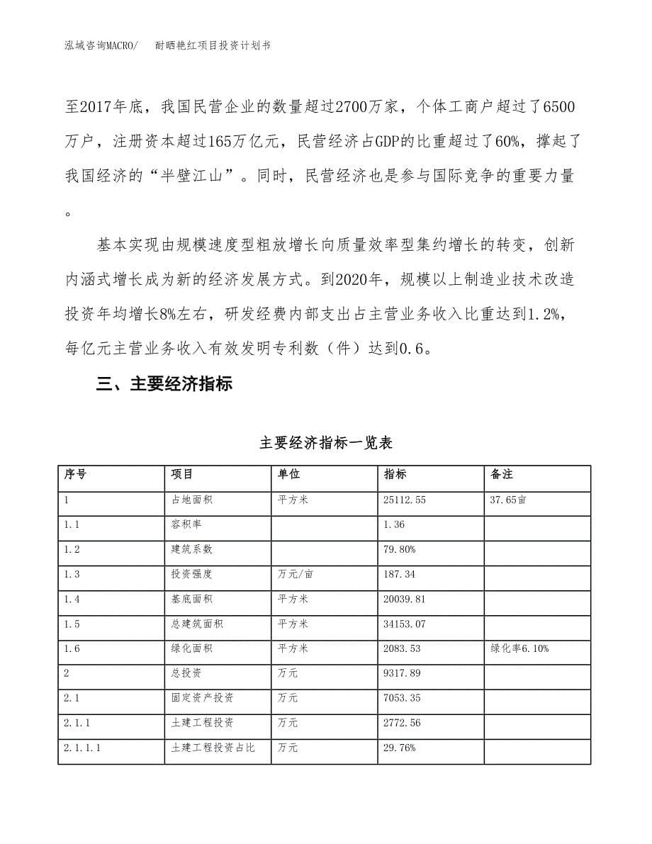 耐晒艳红项目投资计划书(融资报告).docx_第5页