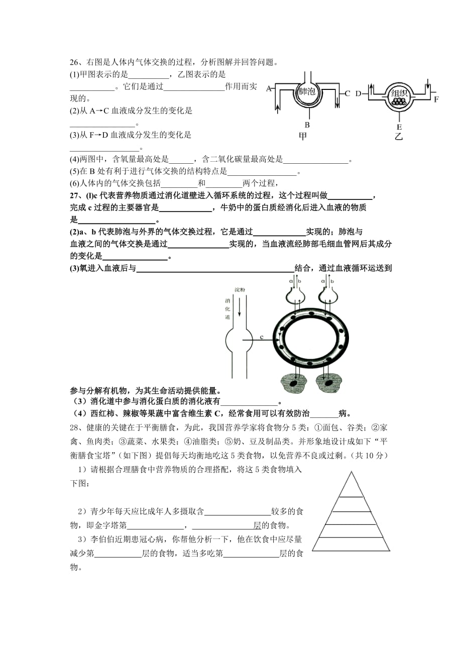 七年级下册生物第一二章试卷_第4页