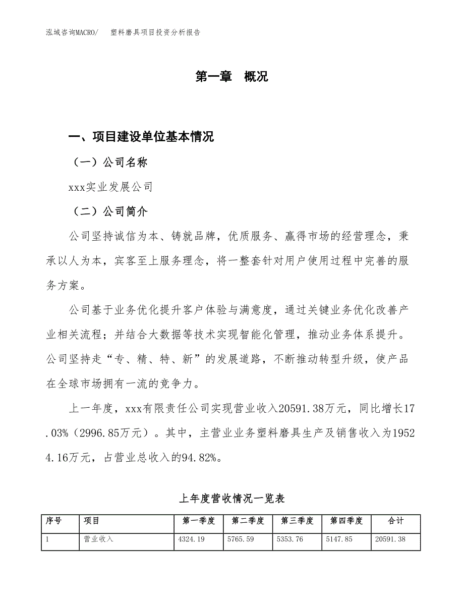 塑料磨具项目投资分析报告（投融资报告）.docx_第1页