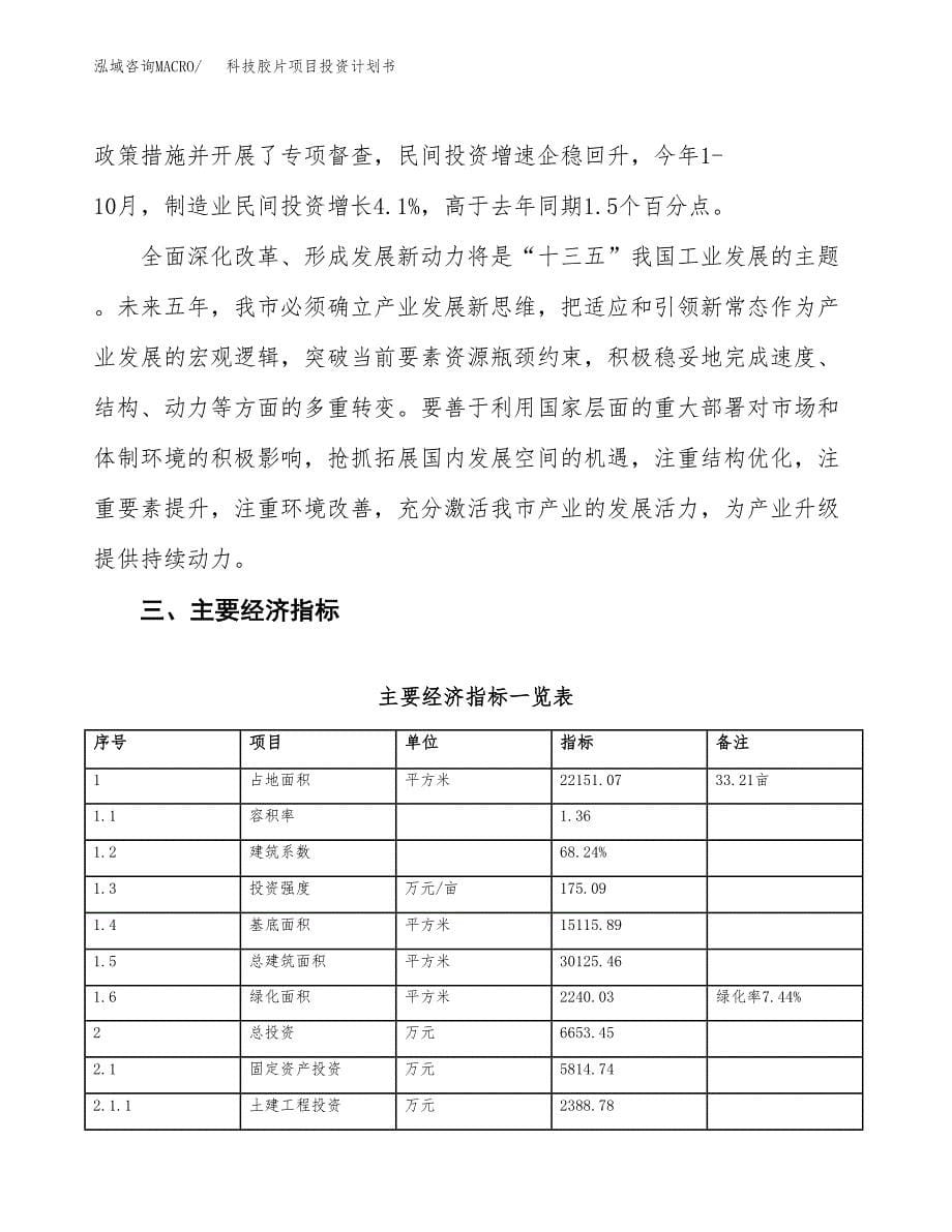 科技胶片项目投资计划书(融资报告).docx_第5页