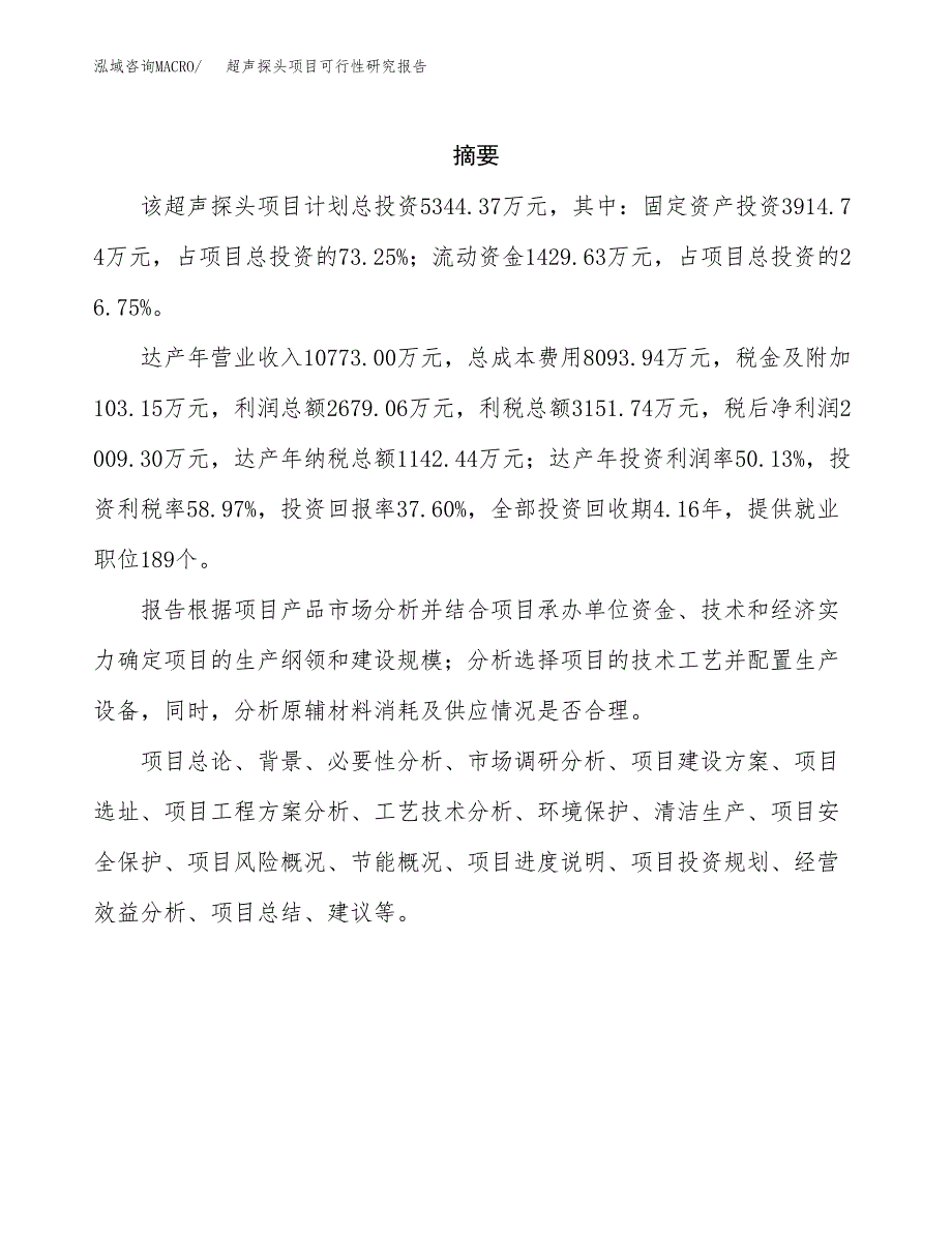 超声探头项目可行性研究报告标准模板.docx_第2页