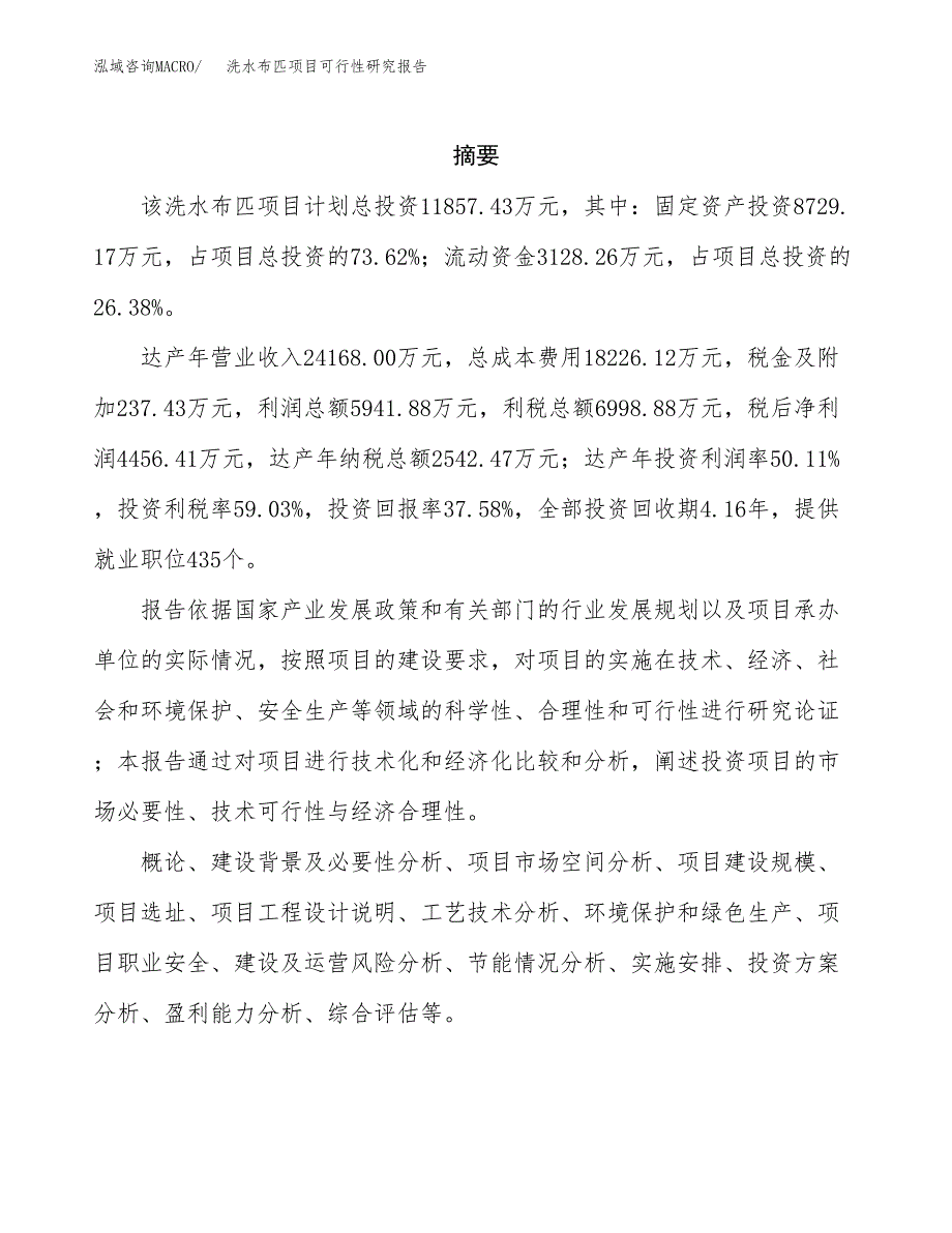 洗水布匹项目可行性研究报告标准模板.docx_第2页