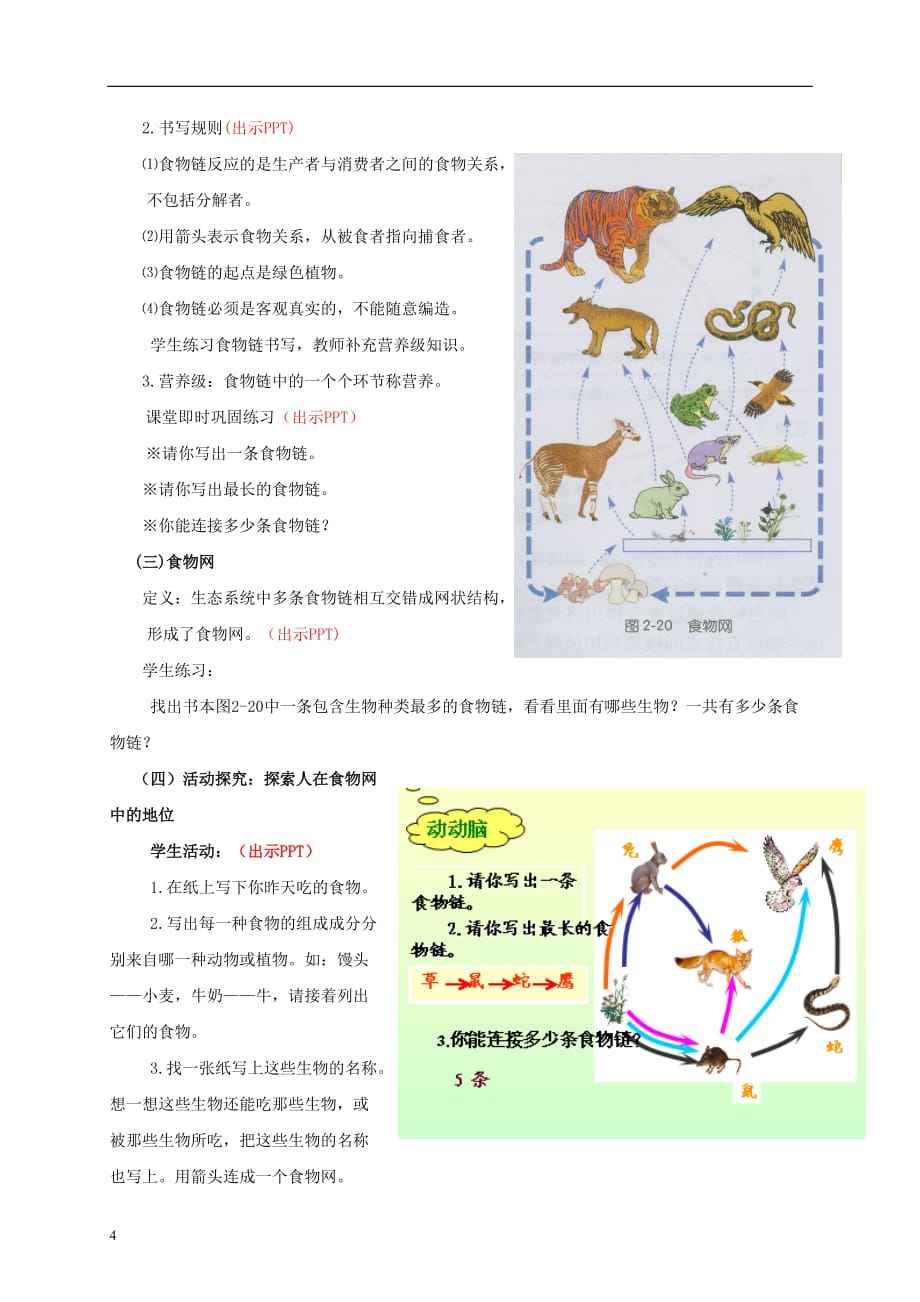 九年级科学下册 2.4 生态系统的结构和功能教案2 （新版）浙教版_第4页