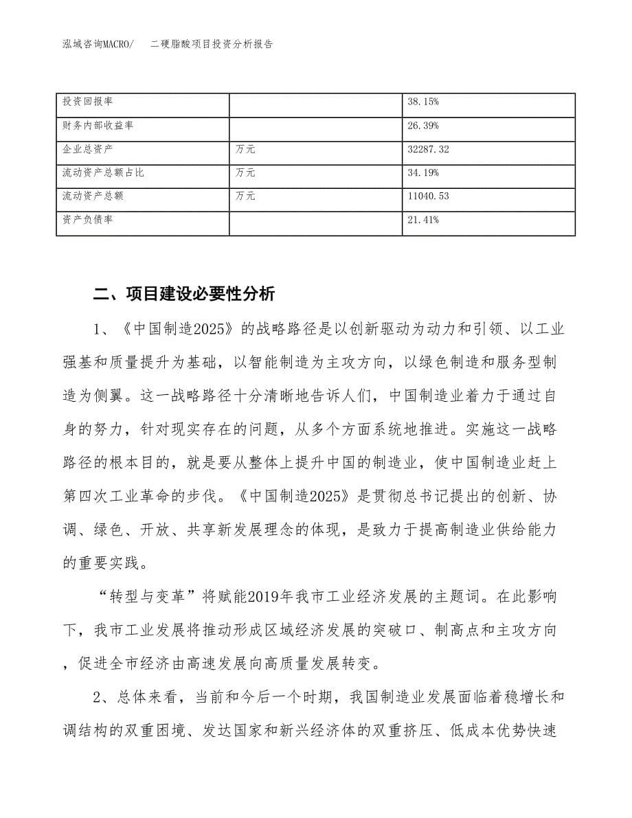 二硬脂酸项目投资分析报告（投融资报告）.docx_第5页