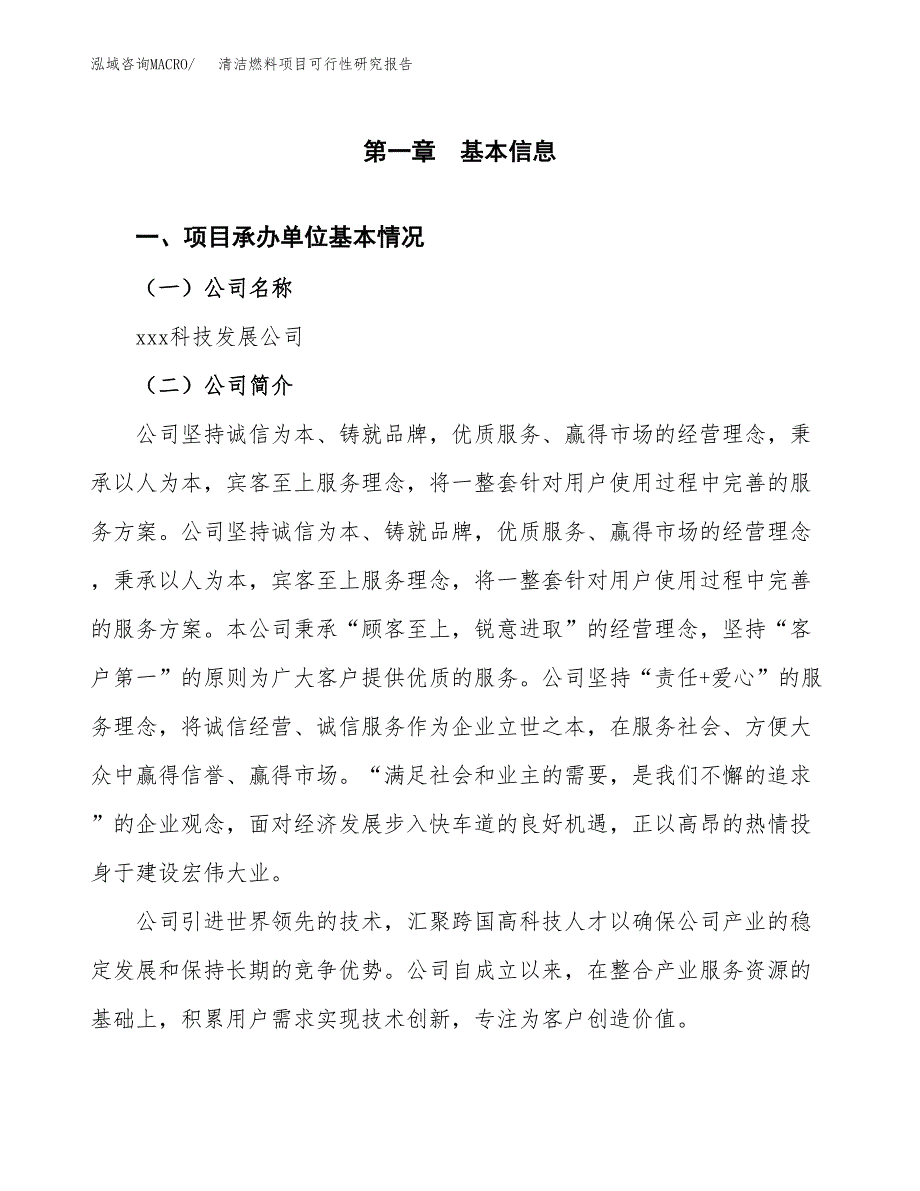 清洁燃料项目可行性研究报告标准模板.docx_第4页