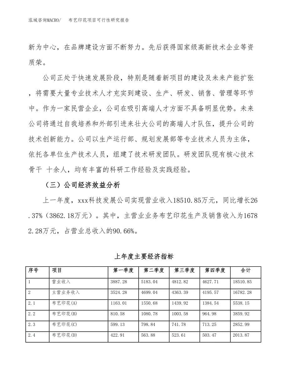 布艺印花项目可行性研究报告标准模板.docx_第5页