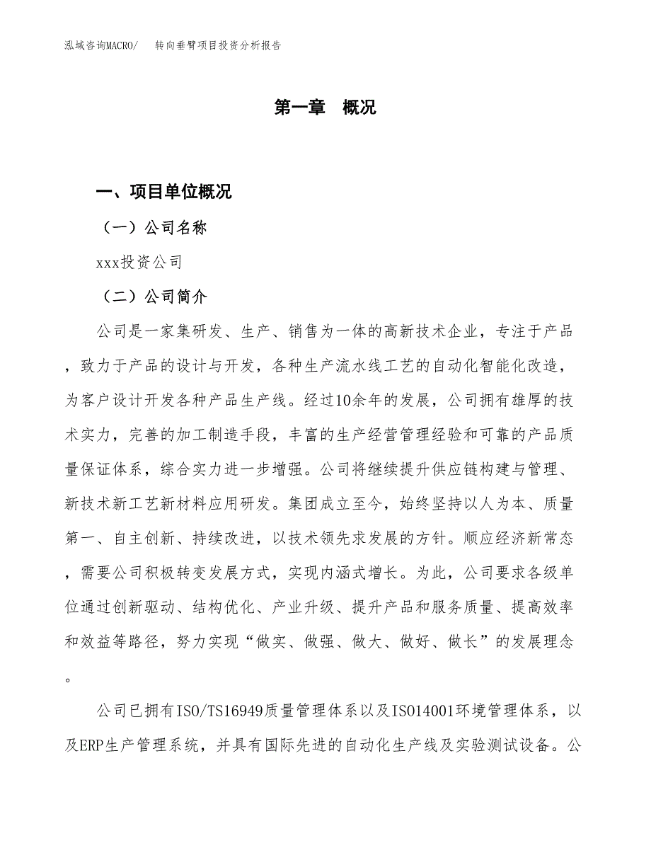 转向垂臂项目投资分析报告（投融资报告）.docx_第1页