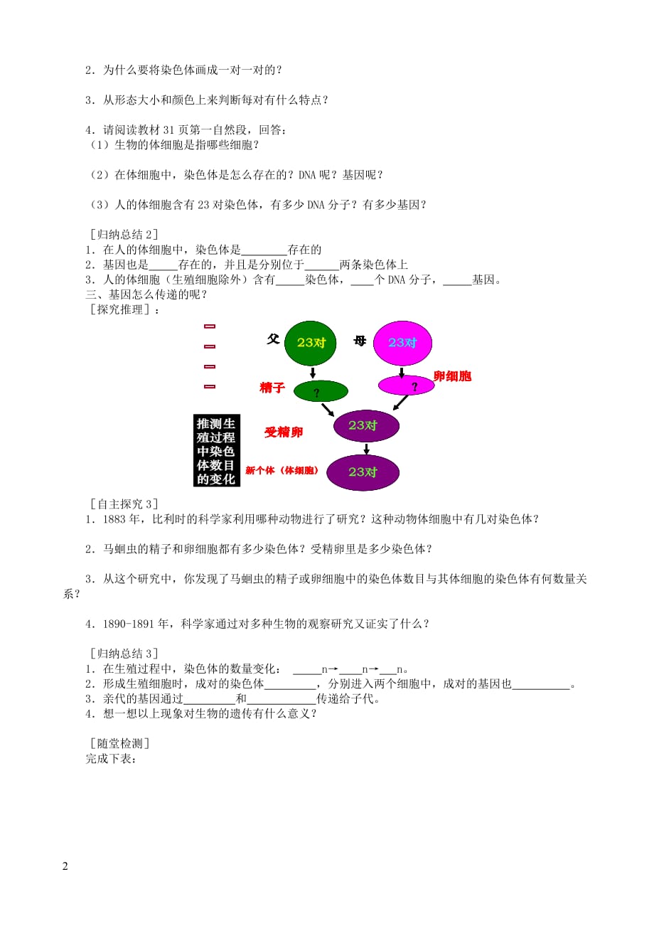 八年级生物下册第7单元 第2章 第2节 基因在亲子代间的传递学案1 （新版）新人教版_第2页