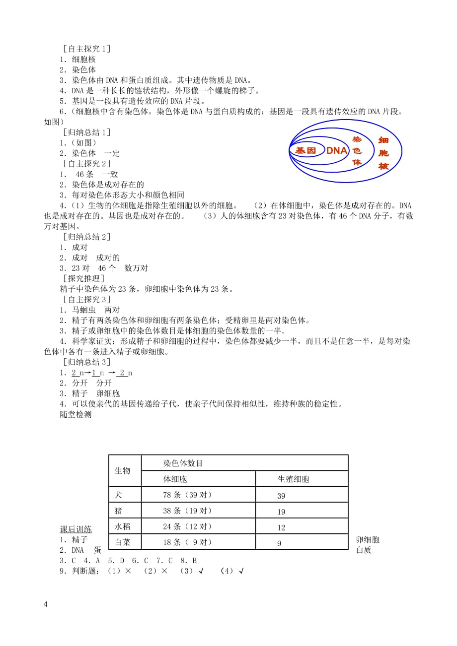 八年级生物下册第7单元 第2章 第2节 基因在亲子代间的传递学案1 （新版）新人教版_第4页