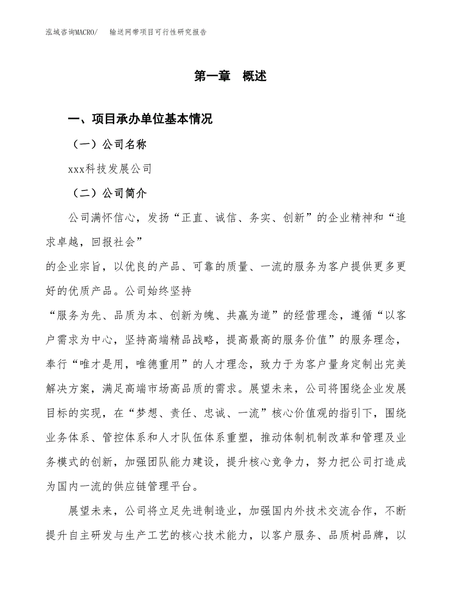 输送网带项目可行性研究报告标准模板.docx_第4页