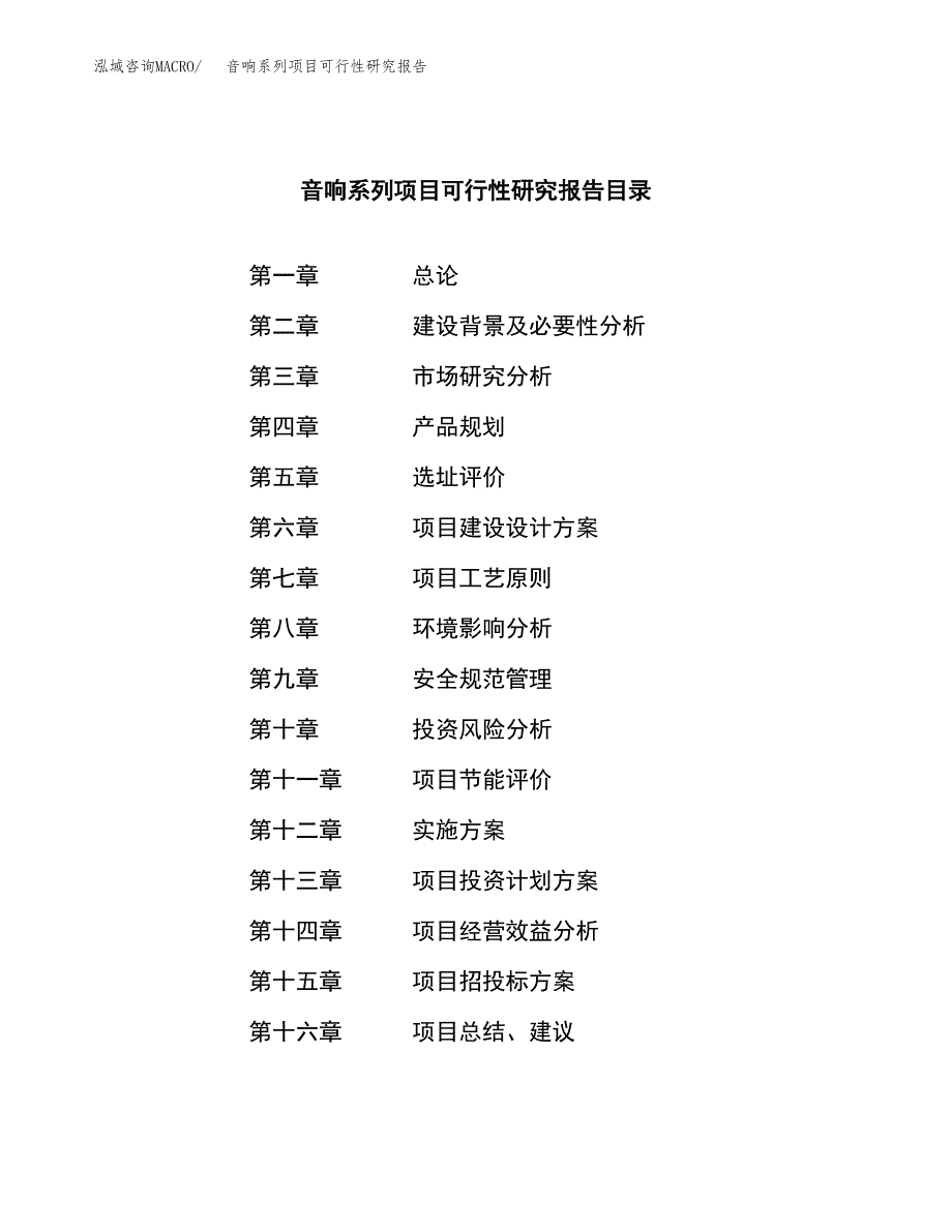 音响系列项目可行性研究报告标准模板.docx_第3页