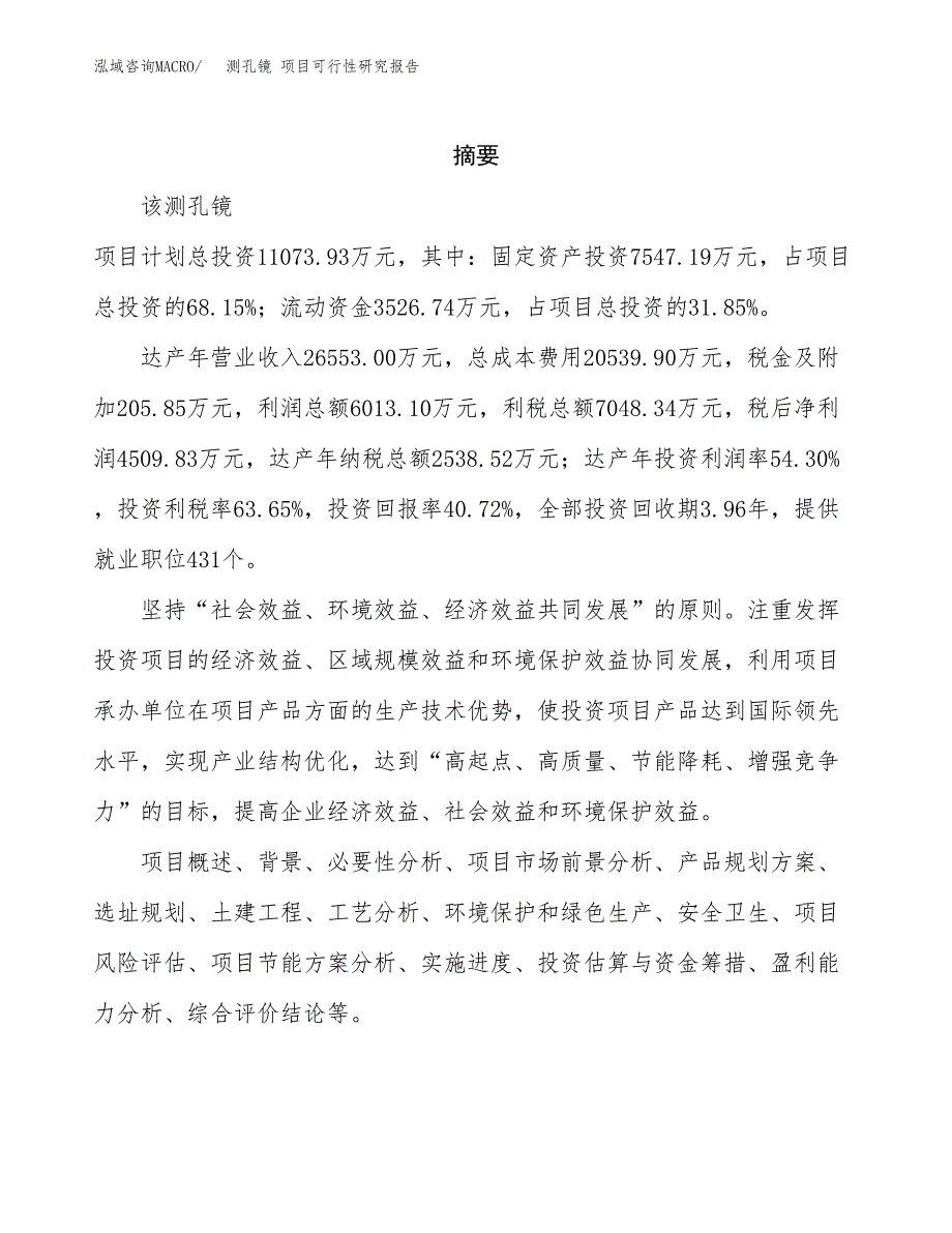 测孔镜 项目可行性研究报告标准模板.docx_第2页