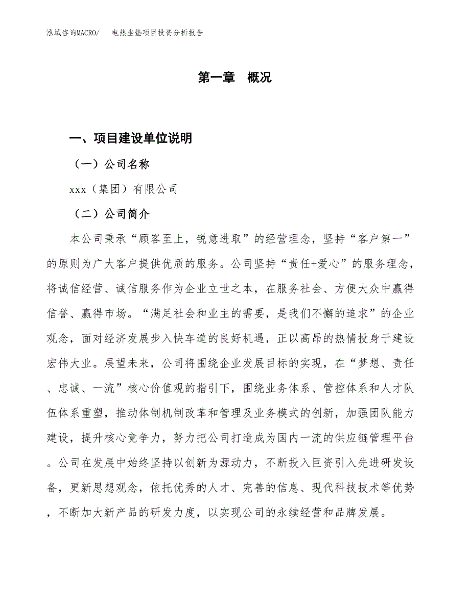 电热坐垫项目投资分析报告（投融资报告）.docx_第1页