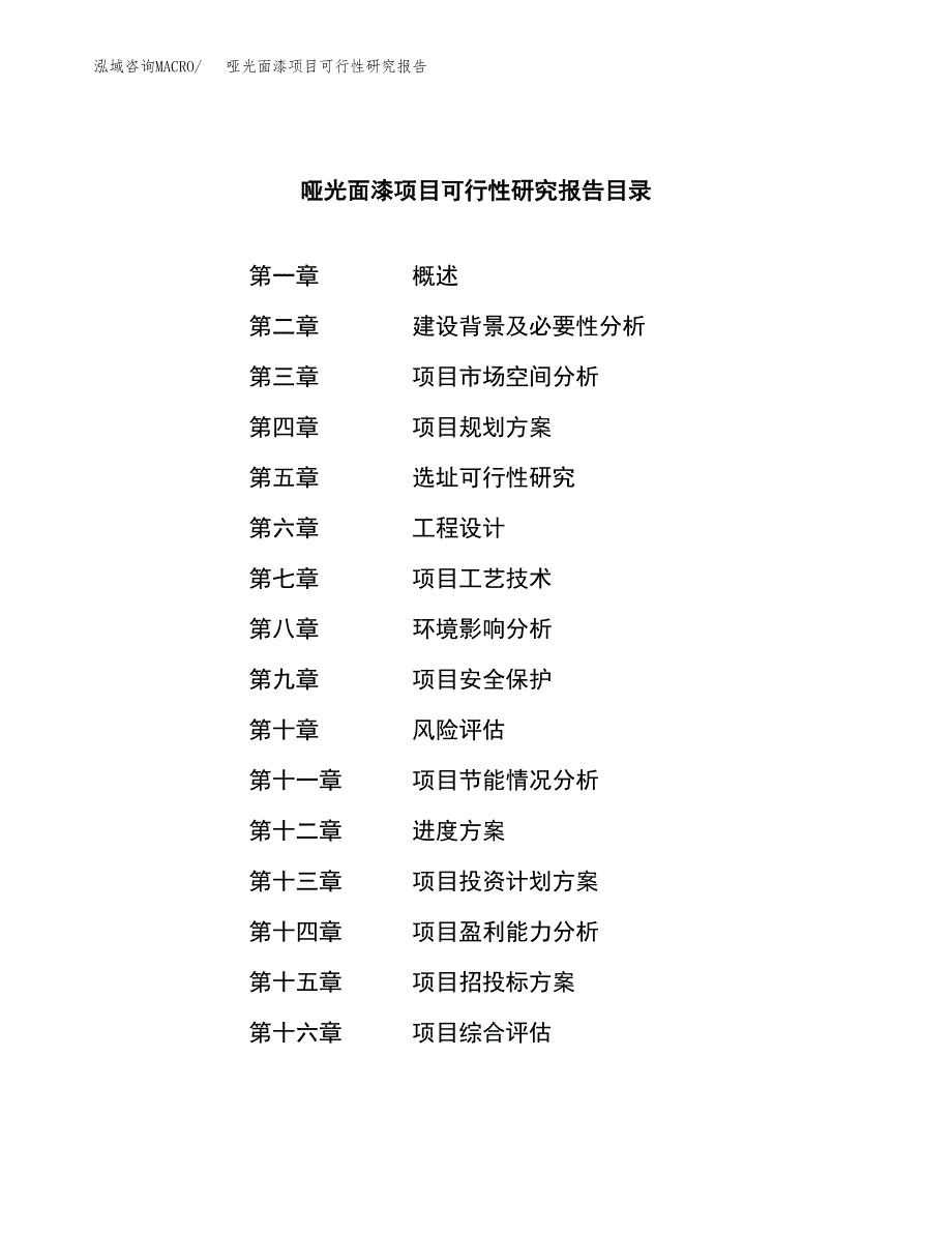 哑光面漆项目可行性研究报告标准模板.docx_第3页