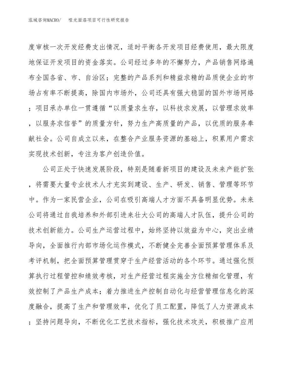 哑光面漆项目可行性研究报告标准模板.docx_第5页