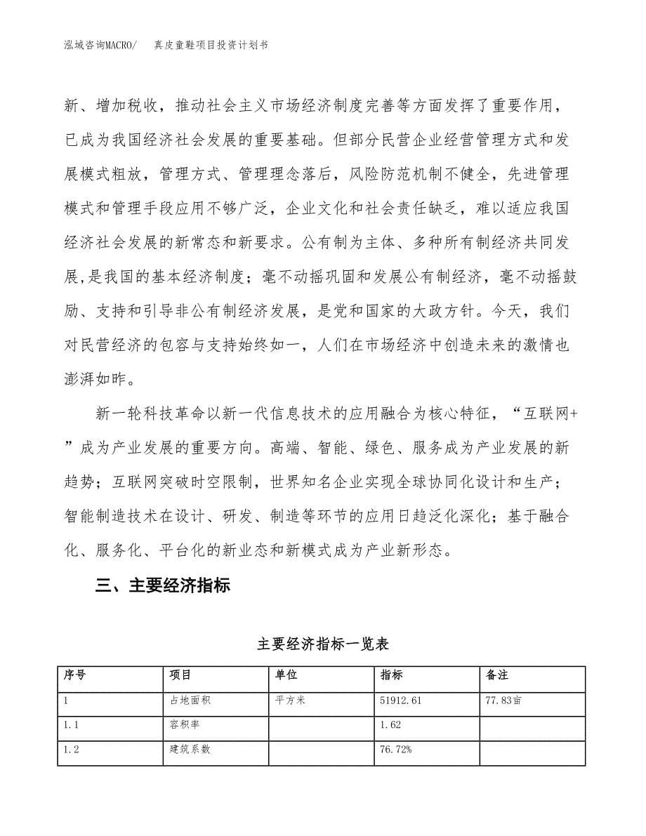 真皮童鞋项目投资计划书(融资报告).docx_第5页