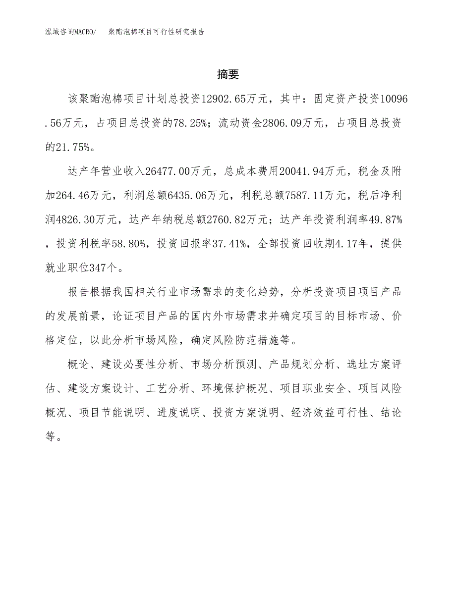 聚酯泡棉项目可行性研究报告标准模板.docx_第2页