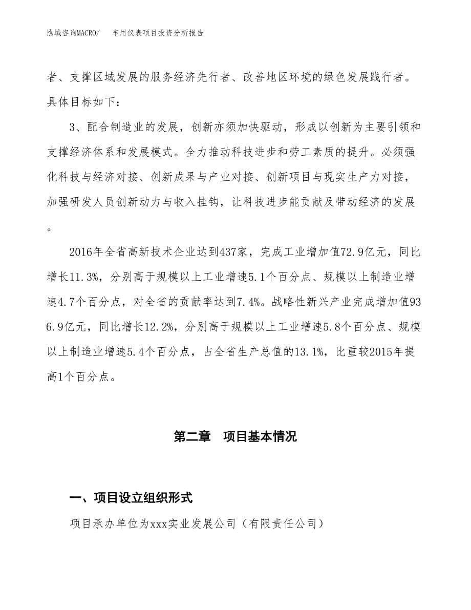 车用仪表项目投资分析报告（投融资报告）.docx_第5页