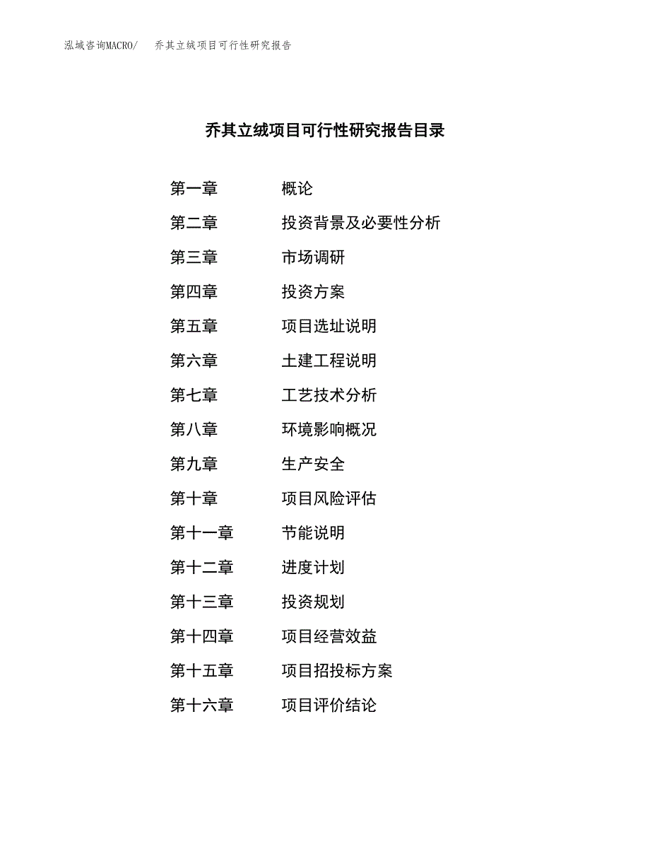 乔其立绒项目可行性研究报告标准模板.docx_第3页