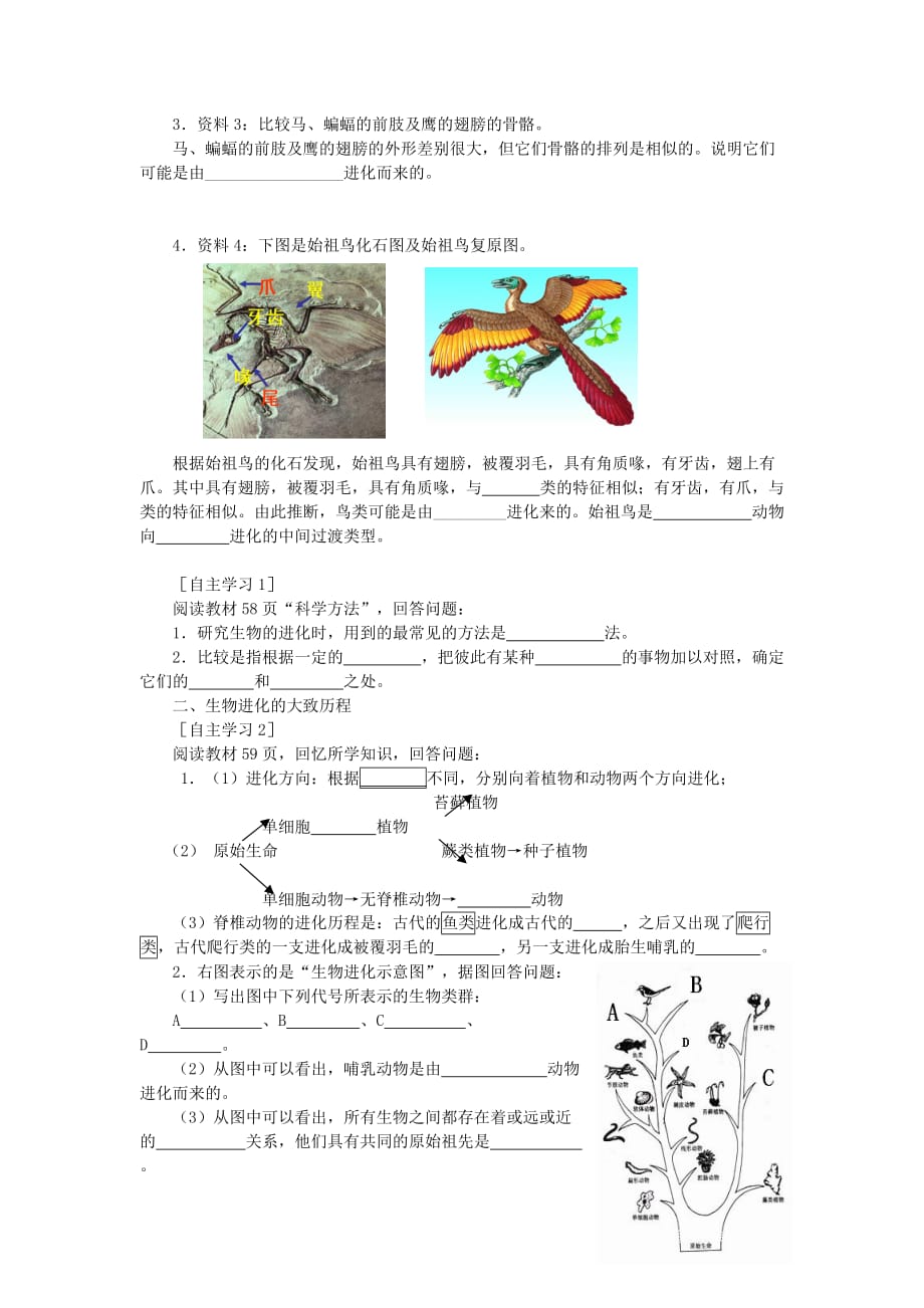 八年级生物下册第7单元 第3章 第2节 生物进化的历程学案 （新版）新人教版_第2页