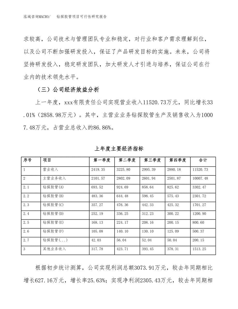 钻探胶管项目可行性研究报告标准模板.docx_第5页