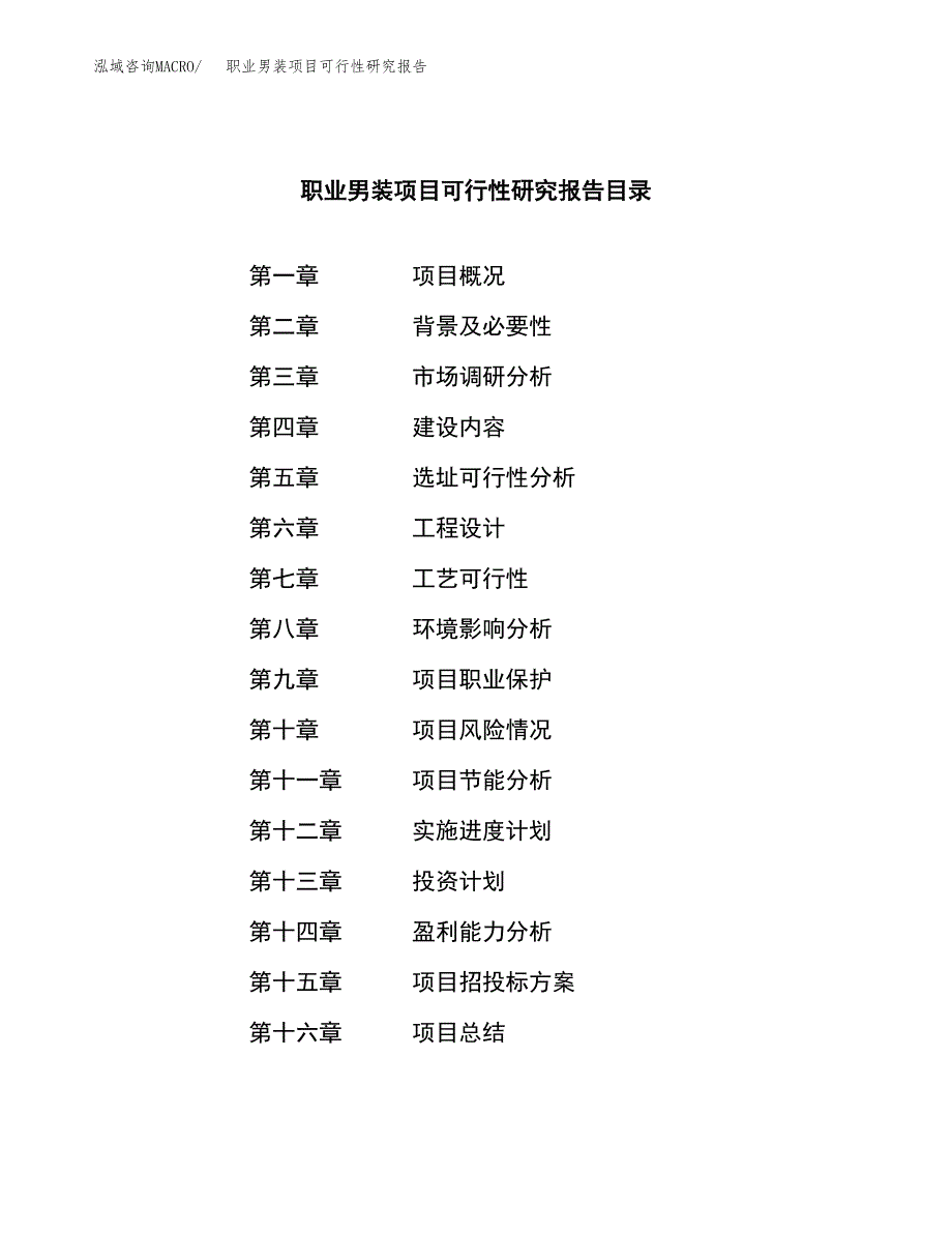 职业男装项目可行性研究报告标准模板.docx_第3页