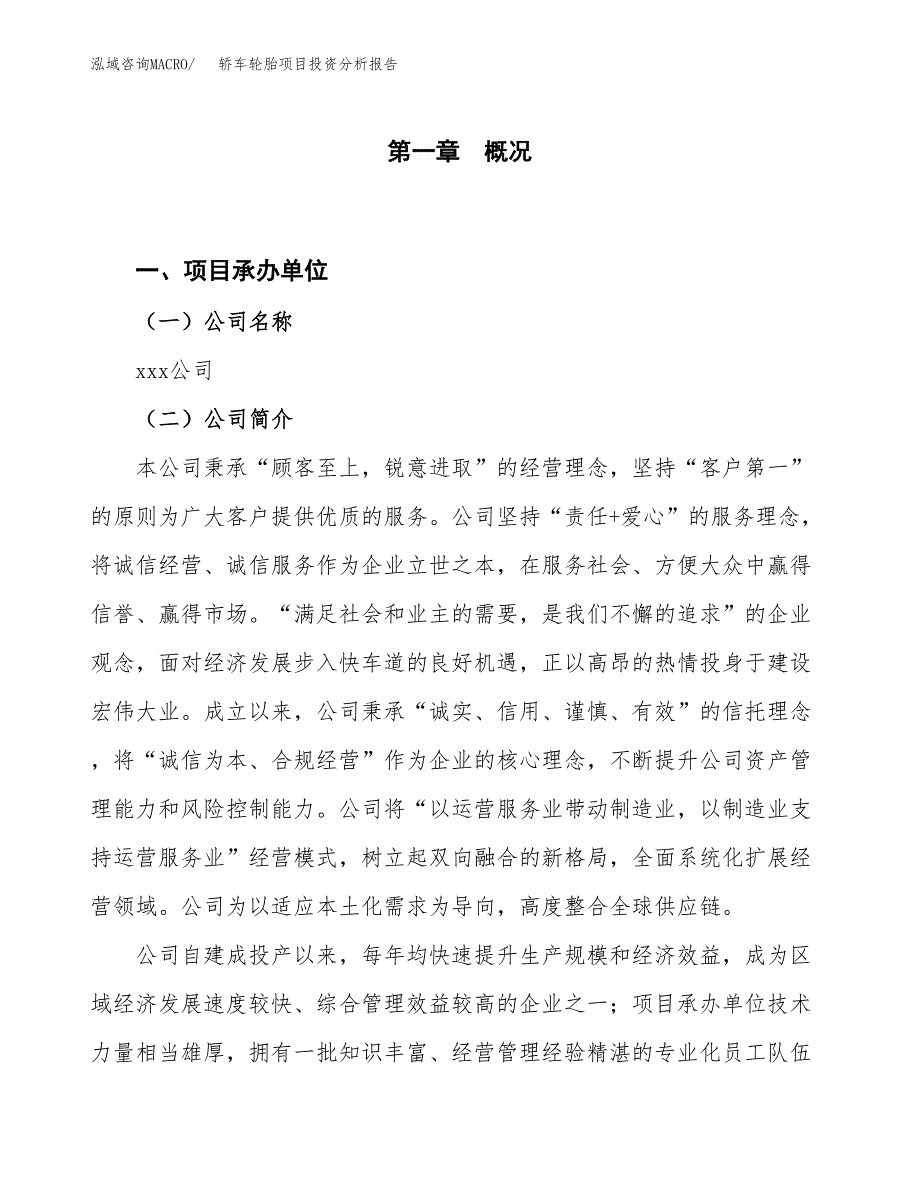 轿车轮胎项目投资分析报告（投融资报告）.docx_第1页